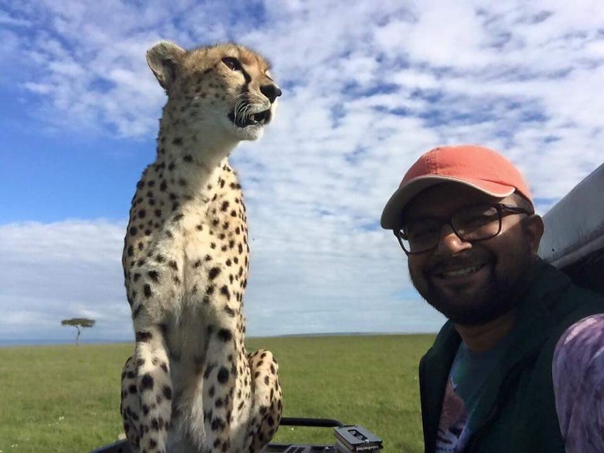 cheetah-selfie