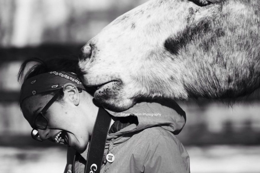 moose-kissing-cameraman