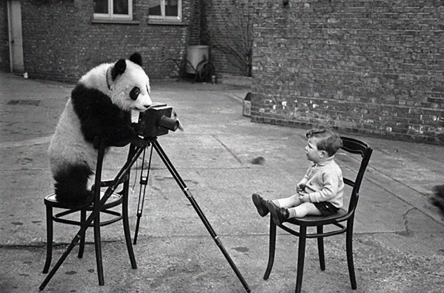 panda-photographing-baby