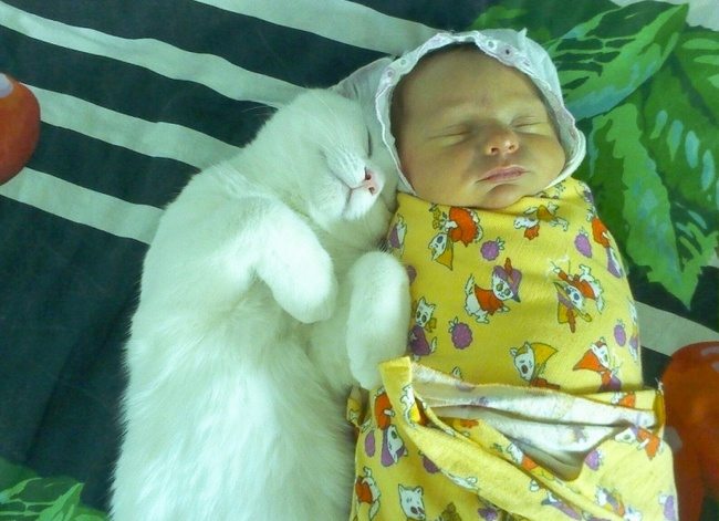 1-photos-of-kids-and-pets-that-melt-your-heart
