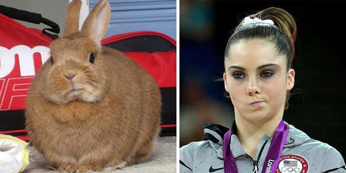10-animals-that-look-just-like-famous-people