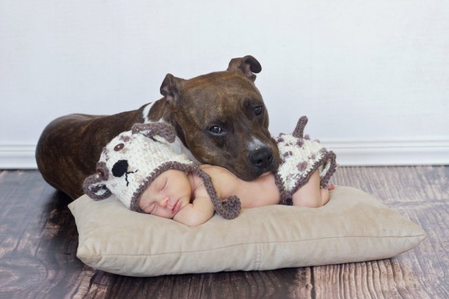 10-photos-of-kids-and-pets-that-melt-your-heart