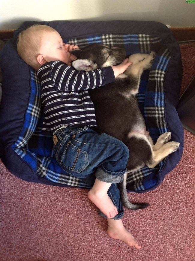 11-photos-of-kids-and-pets-that-melt-your-heart