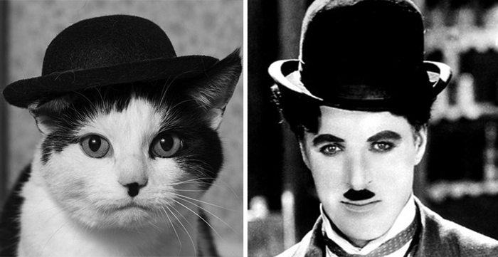 12-animals-that-look-just-like-famous-people
