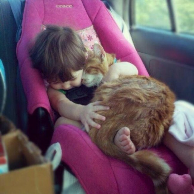 12-photos-of-kids-and-pets-that-melt-your-heart
