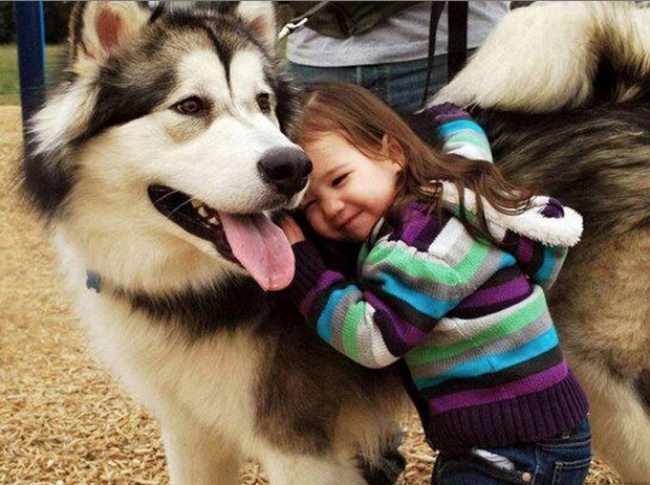 13-photos-of-kids-and-pets-that-melt-your-heart