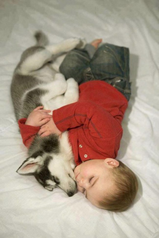 14-photos-of-kids-and-pets-that-melt-your-heart