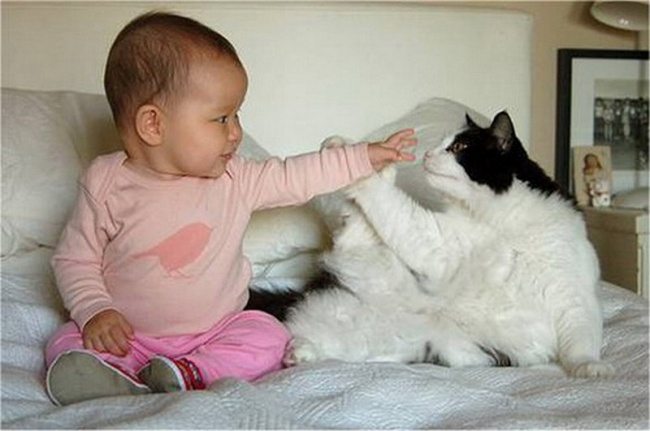 15-photos-of-kids-and-pets-that-melt-your-heart