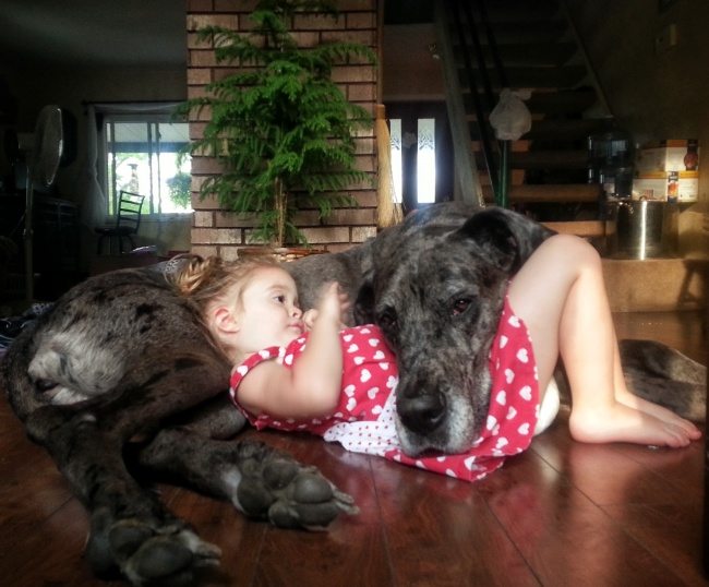 17-photos-of-kids-and-pets-that-melt-your-heart
