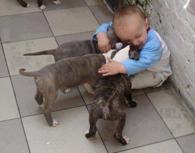 18-photos-of-kids-and-pets-that-melt-your-heart