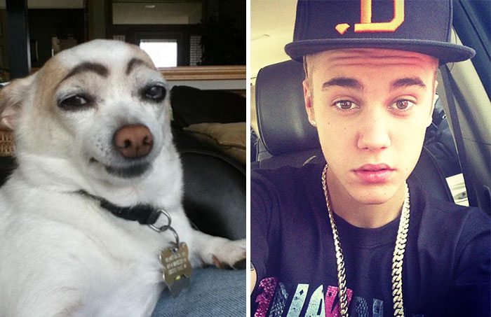 19-animals-that-look-just-like-famous-people
