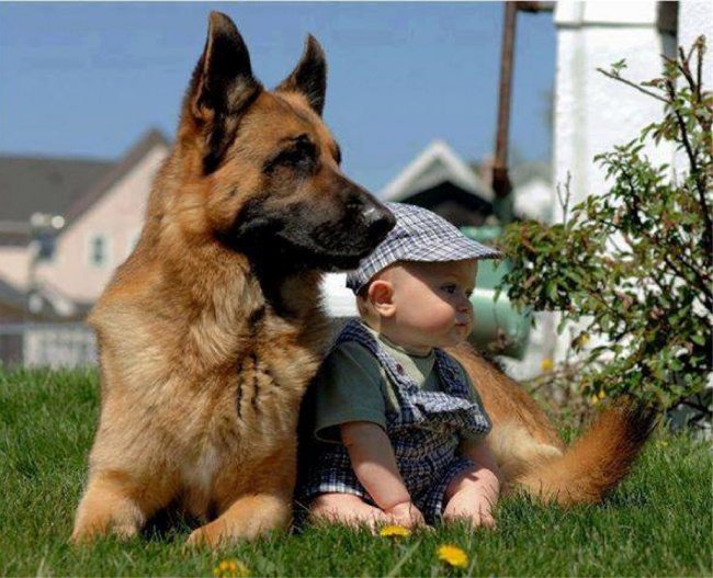 19-photos-of-kids-and-pets-that-melt-your-heart