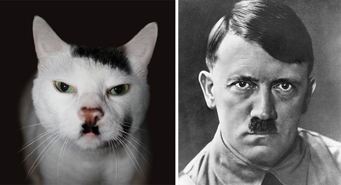 2-animals-that-look-just-like-famous-people