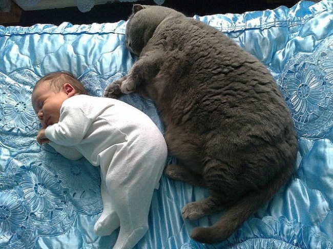 2-photos-of-kids-and-pets-that-melt-your-heart