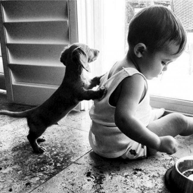 20-photos-of-kids-and-pets-that-melt-your-heart