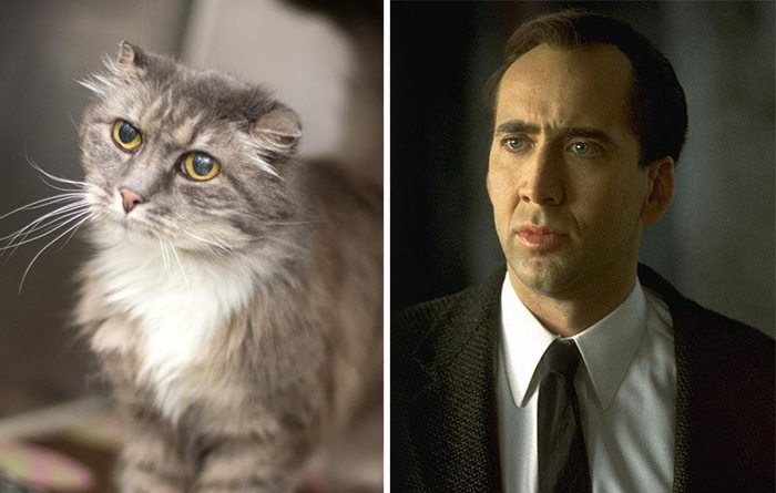21-animals-that-look-just-like-famous-people