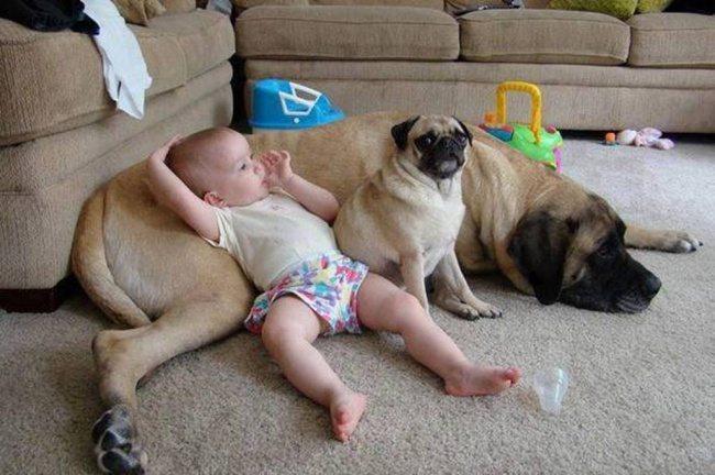 21-photos-of-kids-and-pets-that-melt-your-heart