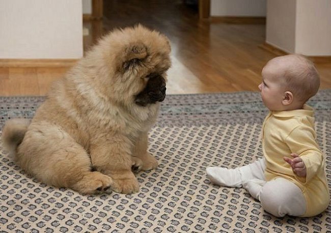 22-photos-of-kids-and-pets-that-melt-your-heart