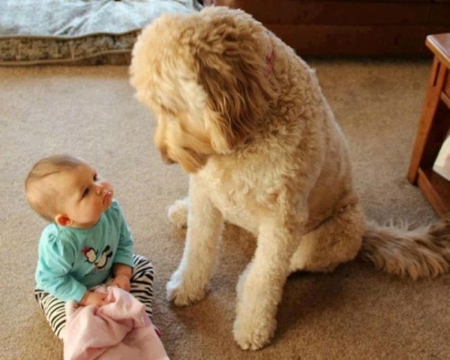 23-photos-of-kids-and-pets-that-melt-your-heart