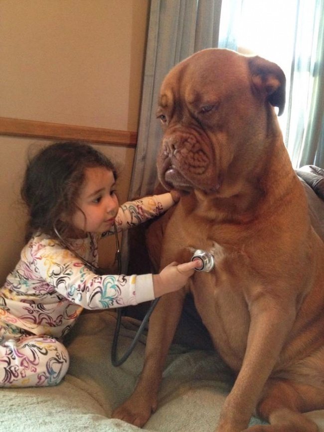 24-photos-of-kids-and-pets-that-melt-your-heart