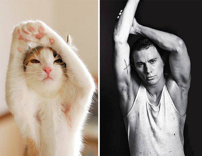 25-animals-that-look-just-like-famous-people