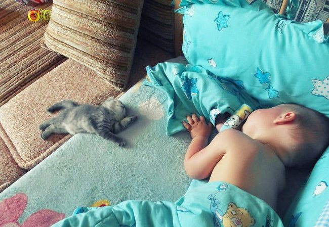 3-photos-of-kids-and-pets-that-melt-your-heart