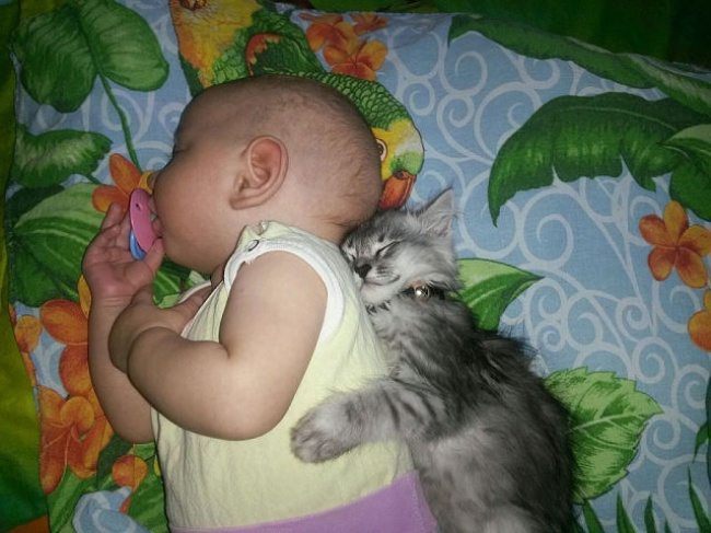 4-photos-of-kids-and-pets-that-melt-your-heart