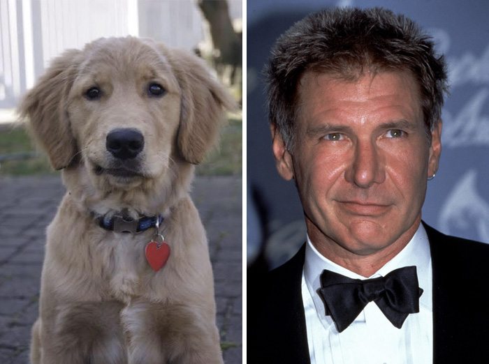 5-animals-that-look-just-like-famous-people