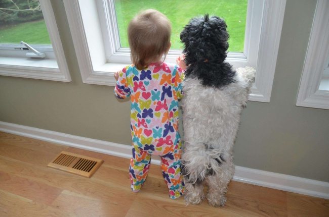 6-photos-of-kids-and-pets-that-melt-your-heart