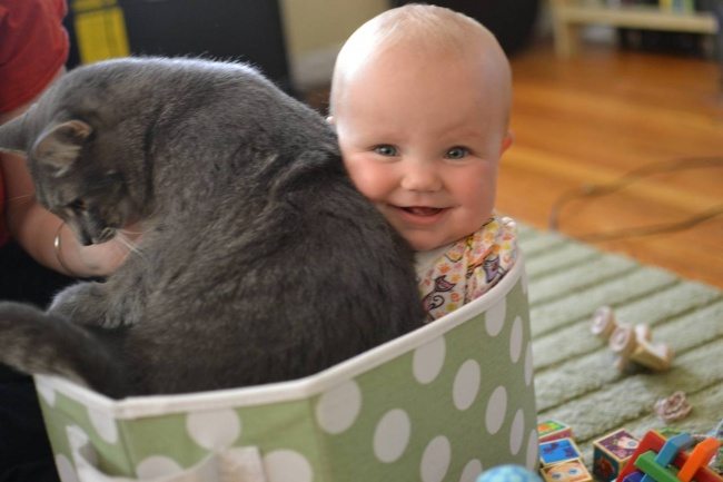 7-photos-of-kids-and-pets-that-melt-your-heart