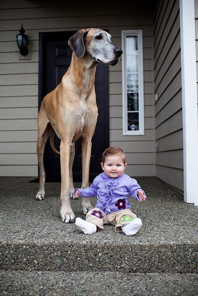 8-photos-of-kids-and-pets-that-melt-your-heart