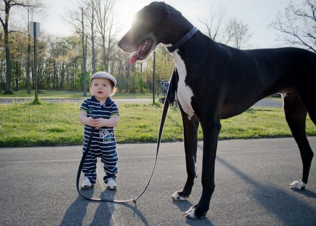 9-photos-of-kids-and-pets-that-melt-your-heart