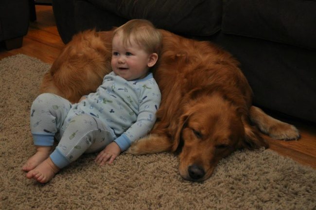 11-heart-melting-pics-of-kids-and-their-pets