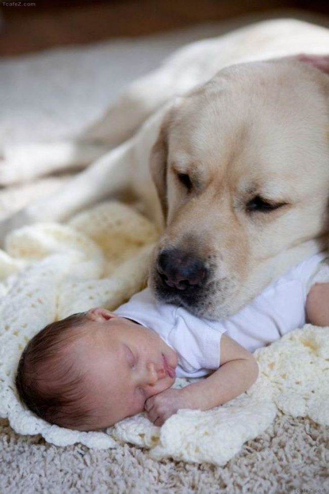 15-heart-melting-pics-of-kids-and-their-pets