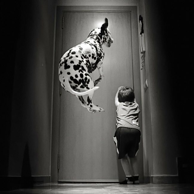 16-heart-melting-pics-of-kids-and-their-pets