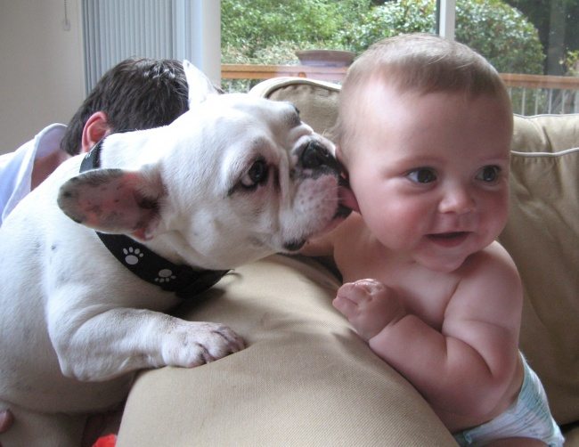 20-heart-melting-pics-of-kids-and-their-pets