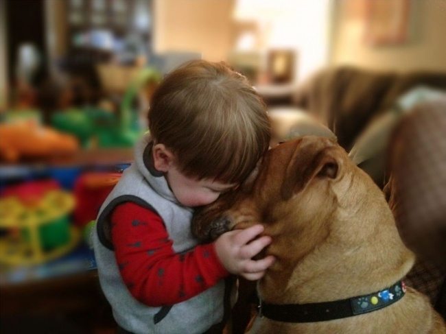 21-heart-melting-pics-of-kids-and-their-pets