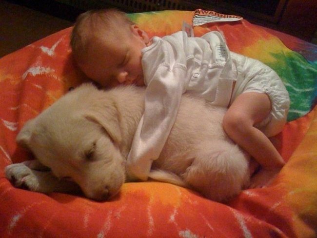 4-heart-melting-pics-of-kids-and-their-pets