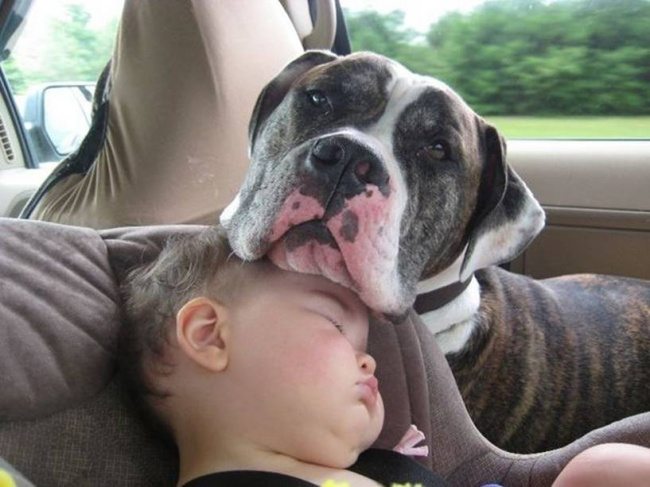 9-heart-melting-pics-of-kids-and-their-pets
