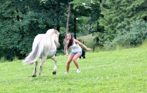 1-hilarious-fails-of-girls-and-animals