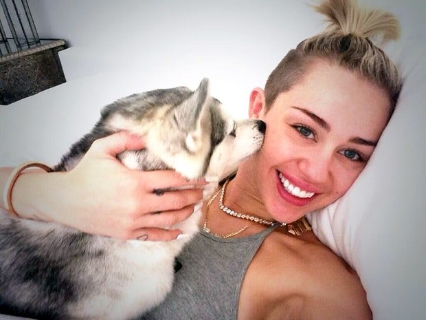 10-celebrities-totally-in-love-with-their-pets