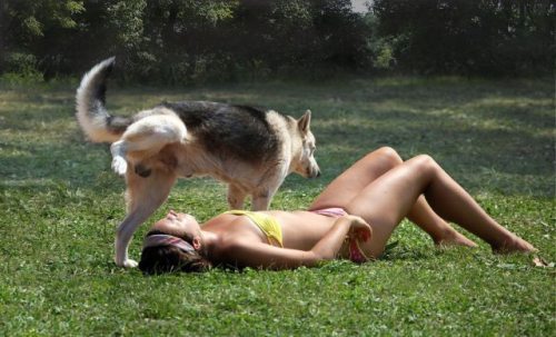 11-hilarious-fails-of-girls-and-animals