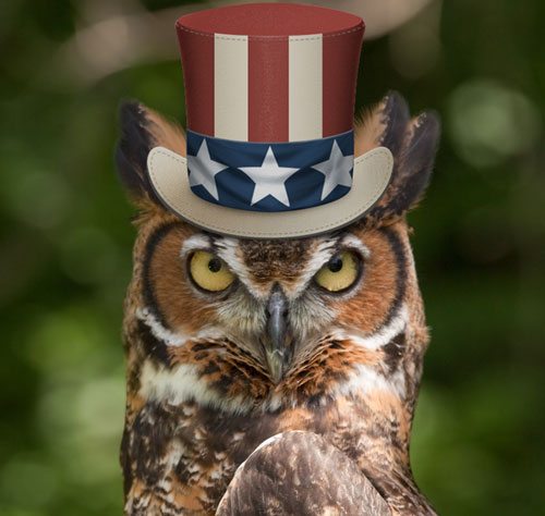 12-patriotic-animals-eagerly-waiting-for-ellections