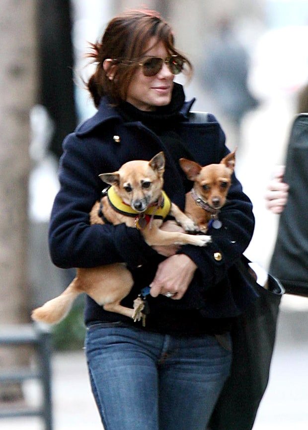 13-celebrities-totally-in-love-with-their-pets