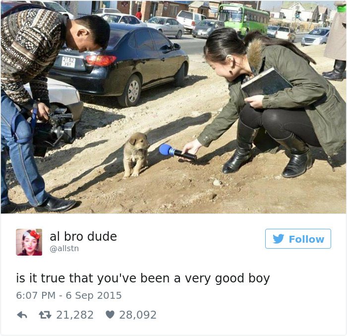 13-dog-tweets-that-are-simply-priceless
