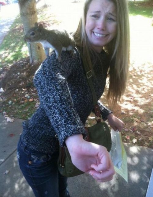16-hilarious-fails-of-girls-and-animals