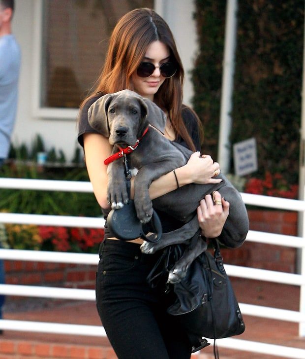 18-celebrities-totally-in-love-with-their-pets