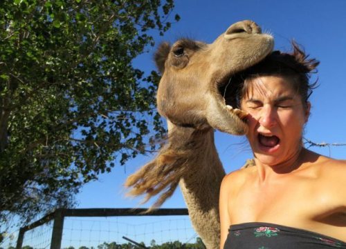 22-hilarious-fails-of-girls-and-animals