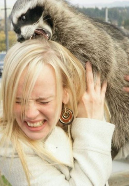 3-hilarious-fails-of-girls-and-animals