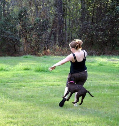 7-hilarious-fails-of-girls-and-animals